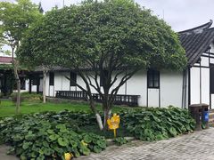 -张闻天故居