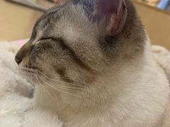 -猫和宫(六道口店)