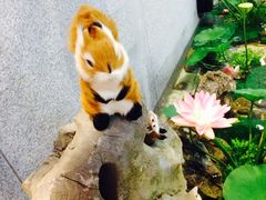 -丽池宫韩式汗蒸会馆(华灯坊店)