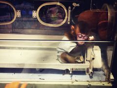 -灵玲国际马戏城