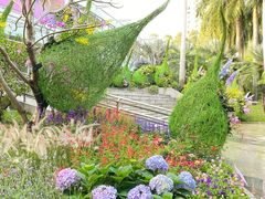 -深圳国际园林花卉博览园