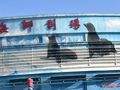 -石家庄极地海洋世界