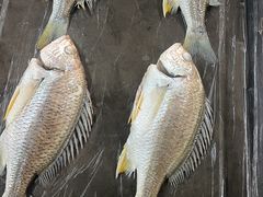 -春梅里卤鹅馆·47年老字号(中山路店)