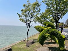 -上海美帆帆船露营基地