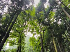 -东天目山风景区