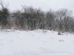 -鳌山滑雪度假区