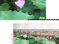 -九龙谷漂流