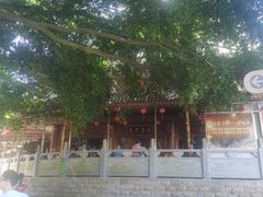 -神光山国家森林公园