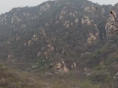-大岭沟猕猴桃谷风景区