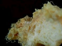 -一鸣真鲜奶吧(巴黎都市奶吧店)