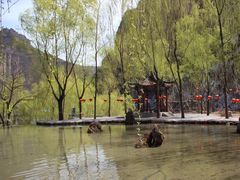 -沕沕水生态风景区