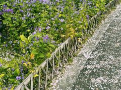 -白塘生态植物园