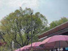 -绿野餐厅(上海动物园店)