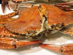 -渔傅·蓝海岸霞浦海鲜(正祥店)
