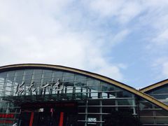 螃蟹-海天一色海景自助餐厅(西港花园店)