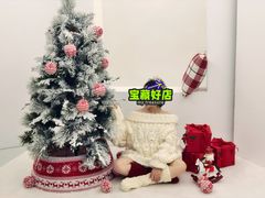 -海马体照相馆(重庆万象城大师店)