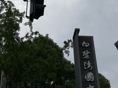 -白鹭湾湿地公园