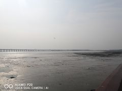 -宝安西湾红树林湿地公园