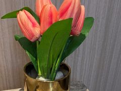-忆家一宴(大木桥路旗舰店)