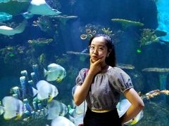 -华夏文旅海洋公园