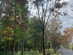 -广富林郊野公园