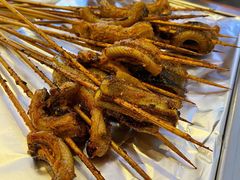 鳝鱼-晓靖轩烧烤(沙河风情店)