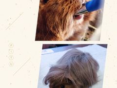 -藦茜花园宠物主题亲子互动体验馆(国顺东路店)