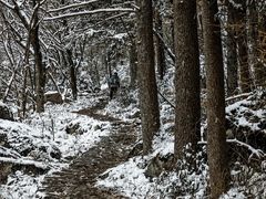 -安吉龙王山风景区
