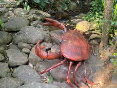 -海南白石岭旅游区
