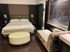 -北京长白山国际酒店(鸟巢店)