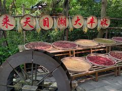 -天目湖山水园