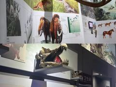 -中国西峡恐龙遗迹园