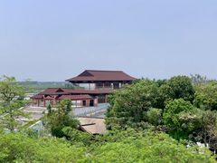 -大湾区中央湿地公园