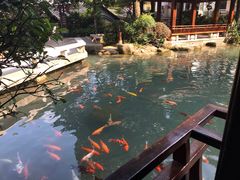 -兰溪地下长河