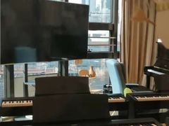 -MusicLife音乐(浦东校区)