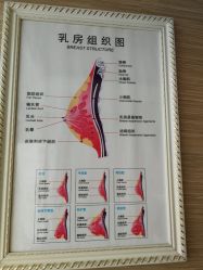 -成都伊贝丝美容美胸SPA会所
