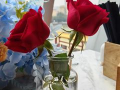 -桃花江餐厅·江景-约会·聚会