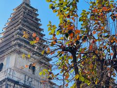 -北京石刻艺术博物馆(五塔寺)