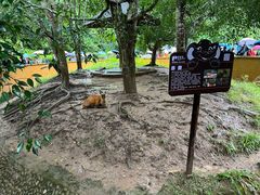 -野象谷景区