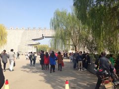 -洛阳市隋唐城遗址植物园