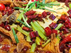 -老板恋上鱼(恒隆广场店)