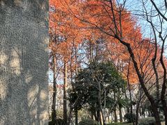 -锦江乐园(地铁站)