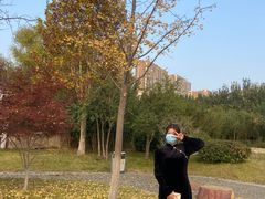 -济南国际园博园