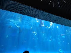 -西安华夏文旅水世界