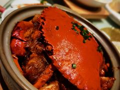 -蝶园·装修中(BFC外滩金融中心店)