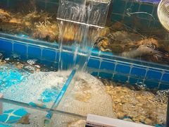 -渔纬港海鲜自助餐厅(湖里万达店)
