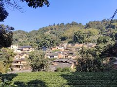 -杨家堂村