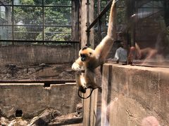 -昆明动物园