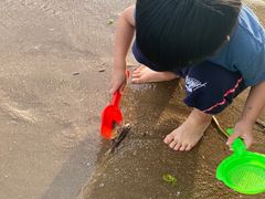 -演武大桥观景平台