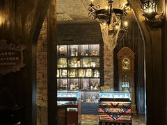 -雪灵魔法世界SHELLY’S TAROT(大良桂畔里店)